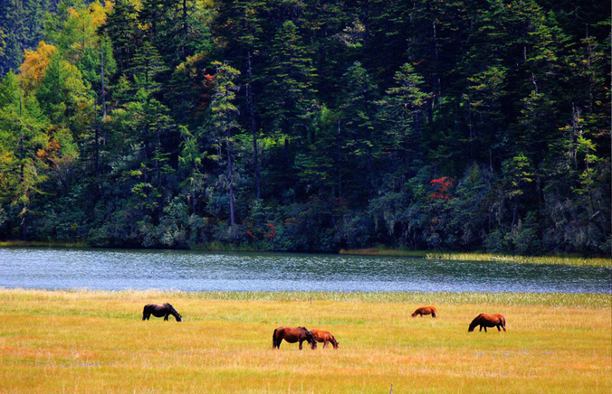 Pudacuo Park