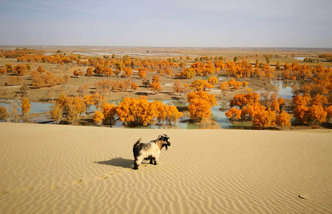 Taklimakan Desert