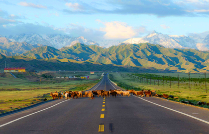 Duku Road Tours